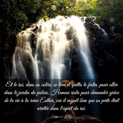 Picture 03 - Esther 7:7 LSG - Et le roi, dans sa colère, se leva et quitta le - Bible Verse Picture
