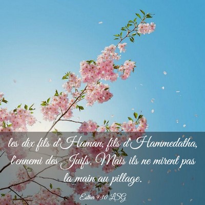 Picture 03 - Esther 9:10 LSG - les dix fils d'Haman, fils d'Hammedatha, l'ennemi - Bible Verse Picture