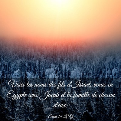 Picture 03 - Exode 1:1 LSG - Voici les noms des fils d'Israël, venus en - Bible Verse Picture