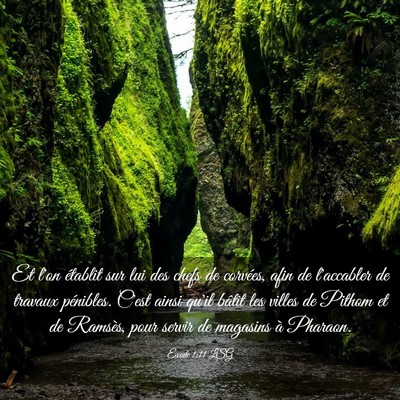 Picture 03 - Exode 1:11 LSG - Et l'on établit sur lui des chefs de corvées, - Bible Verse Picture