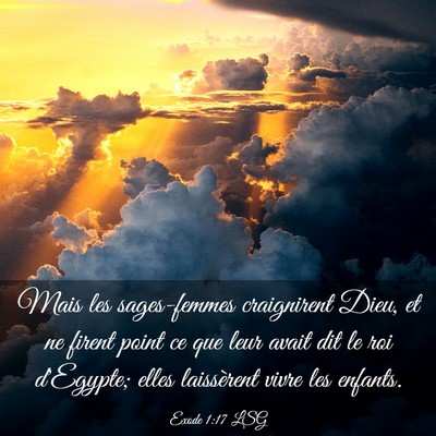 Picture 03 - Exode 1:17 LSG - Mais les sages-femmes craignirent Dieu, et ne - Bible Verse Picture