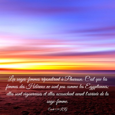 Picture 03 - Exode 1:19 LSG - Les sages-femmes répondirent à Pharaon: C'est - Bible Verse Picture