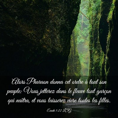Picture 03 - Exode 1:22 LSG - Alors Pharaon donna cet ordre à tout son peuple: - Bible Verse Picture