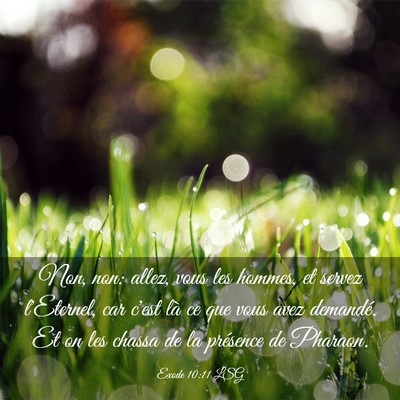Picture 03 - Exode 10:11 LSG - Non, non: allez, vous les hommes, et servez - Bible Verse Picture