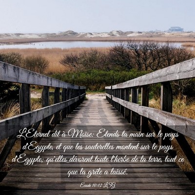 Picture 03 - Exode 10:12 LSG - L'Eternel dit à Moïse: Etends ta main sur le - Bible Verse Picture