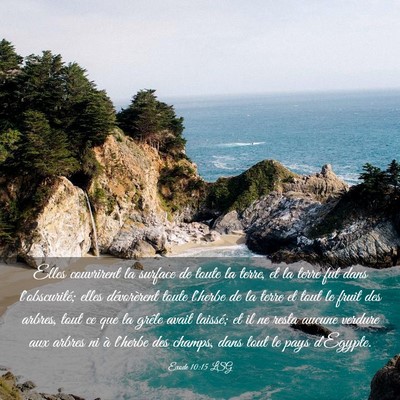 Picture 03 - Exode 10:15 LSG - Elles couvrirent la surface de toute la terre, et - Bible Verse Picture