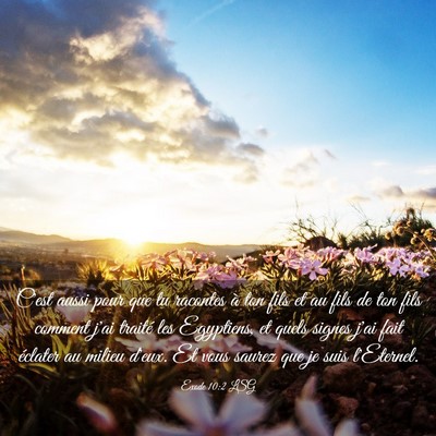 Picture 03 - Exode 10:2 LSG - C'est aussi pour que tu racontes à ton fils et - Bible Verse Picture