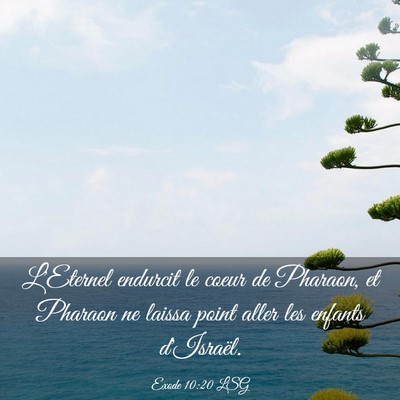 Picture 03 - Exode 10:20 LSG - L'Eternel endurcit le coeur de Pharaon, et - Bible Verse Picture