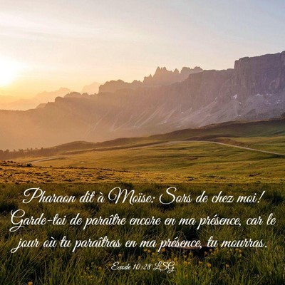 Picture 03 - Exode 10:28 LSG - Pharaon dit à Moïse: Sors de chez moi! - Bible Verse Picture