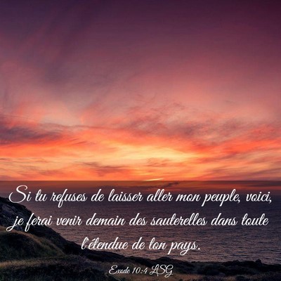 Picture 03 - Exode 10:4 LSG - Si tu refuses de laisser aller mon peuple, voici, - Bible Verse Picture