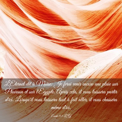 Picture 03 - Exode 11:1 LSG - L'Eternel dit à Moïse: Je ferai venir encore - Bible Verse Picture