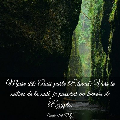 Picture 03 - Exode 11:4 LSG - Moïse dit: Ainsi parle l'Eternel: Vers le milieu - Bible Verse Picture