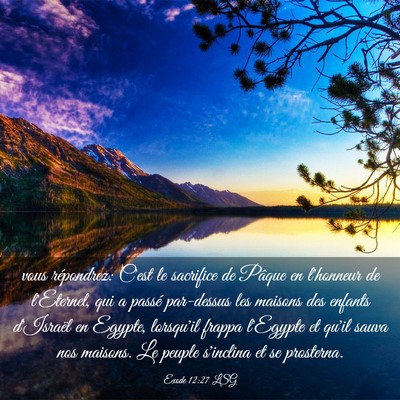 Picture 03 - Exode 12:27 LSG - vous répondrez: C'est le sacrifice de Pâque en - Bible Verse Picture