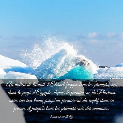 Picture 03 - Exode 12:29 LSG - Au milieu de la nuit, l'Eternel frappa tous les - Bible Verse Picture