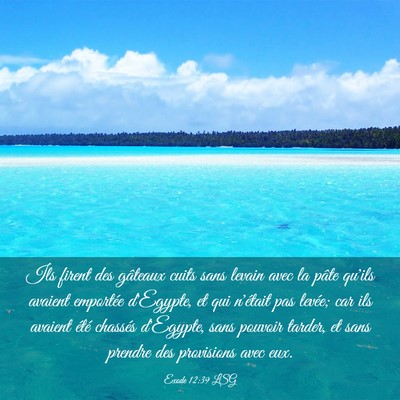 Picture 03 - Exode 12:39 LSG - Ils firent des gâteaux cuits sans levain avec la - Bible Verse Picture