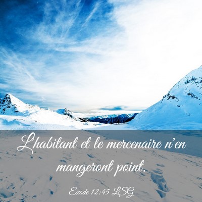 Picture 03 - Exode 12:45 LSG - L'habitant et le mercenaire n'en mangeront - Bible Verse Picture