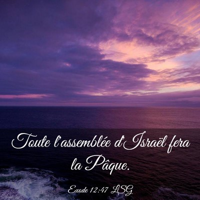 Picture 03 - Exode 12:47 LSG - Toute l'assemblée d'Israël fera la - Bible Verse Picture