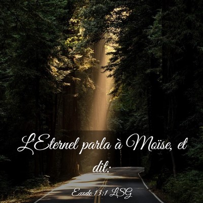 Picture 03 - Exode 13:1 LSG - L'Eternel parla à Moïse, et - Bible Verse Picture