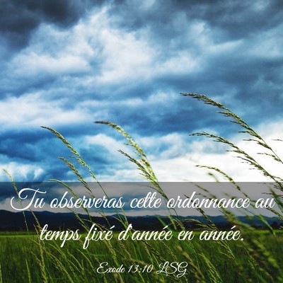 Picture 03 - Exode 13:10 LSG - Tu observeras cette ordonnance au temps fixé - Bible Verse Picture