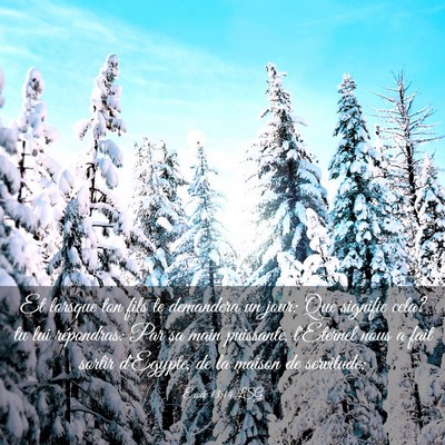 Picture 03 - Exode 13:14 LSG - Et lorsque ton fils te demandera un jour: Que - Bible Verse Picture