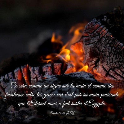 Picture 03 - Exode 13:16 LSG - Ce sera comme un signe sur ta main et comme des - Bible Verse Picture