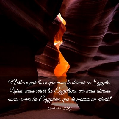 Picture 03 - Exode 14:12 LSG - N'est-ce pas là ce que nous te disions en - Bible Verse Picture
