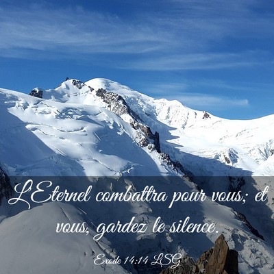 Picture 03 - Exode 14:14 LSG - L'Eternel combattra pour vous; et vous, gardez le - Bible Verse Picture