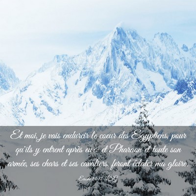 Picture 03 - Exode 14:17 LSG - Et moi, je vais endurcir le coeur des Egyptiens, - Bible Verse Picture
