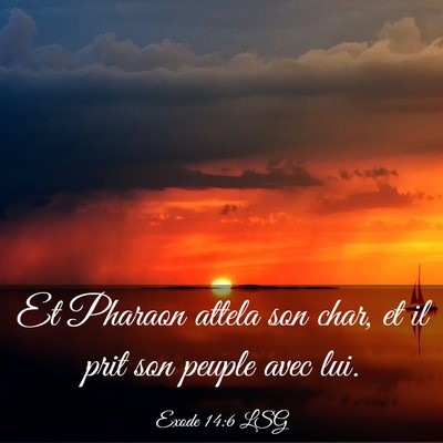 Picture 03 - Exode 14:6 LSG - Et Pharaon attela son char, et il prit son peuple - Bible Verse Picture