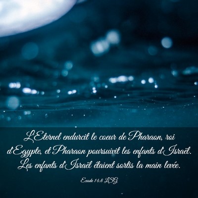 Picture 03 - Exode 14:8 LSG - L'Eternel endurcit le coeur de Pharaon, roi - Bible Verse Picture