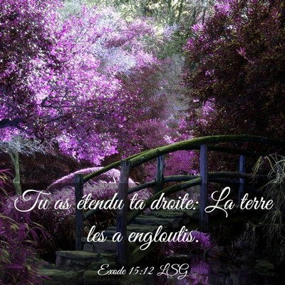 Picture 03 - Exode 15:12 LSG - Tu as étendu ta droite: La terre les a - Bible Verse Picture