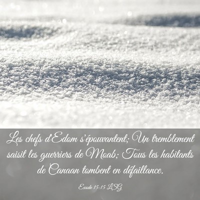 Picture 03 - Exode 15:15 LSG - Les chefs d'Edom s'épouvantent; Un tremblement - Bible Verse Picture