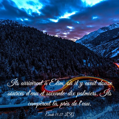 Picture 03 - Exode 15:27 LSG - Ils arrivèrent à Elim, où il y avait douze - Bible Verse Picture