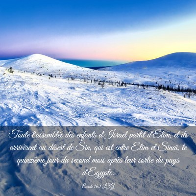 Picture 03 - Exode 16:1 LSG - Toute l'assemblée des enfants d'Israël partit - Bible Verse Picture