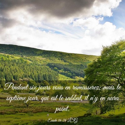 Picture 03 - Exode 16:26 LSG - Pendant six jours vous en ramasserez; mais le - Bible Verse Picture