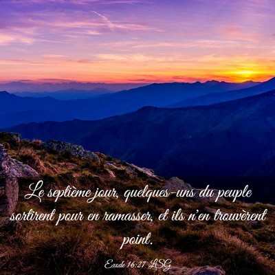 Picture 03 - Exode 16:27 LSG - Le septième jour, quelques-uns du peuple - Bible Verse Picture