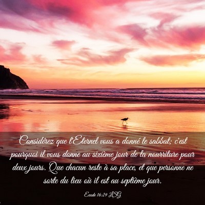Picture 03 - Exode 16:29 LSG - Considérez que l'Eternel vous a donné le - Bible Verse Picture