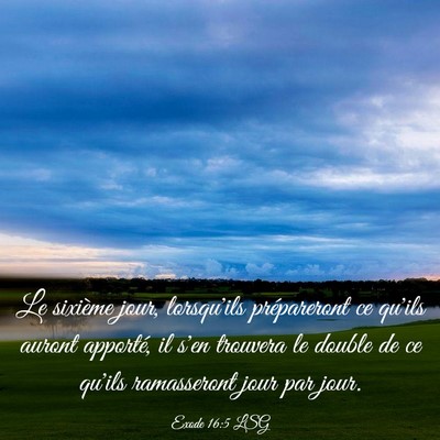Picture 03 - Exode 16:5 LSG - Le sixième jour, lorsqu'ils prépareront ce - Bible Verse Picture