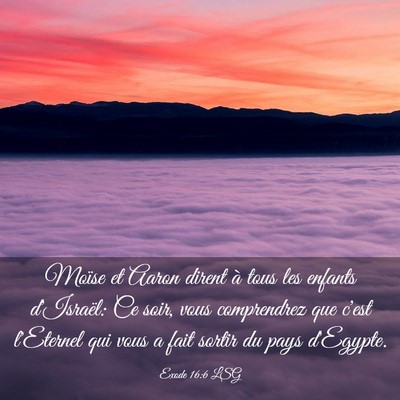 Picture 03 - Exode 16:6 LSG - Moïse et Aaron dirent à tous les enfants - Bible Verse Picture