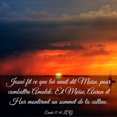 Picture 03 - Exode 17:10 LSG - Josué fit ce que lui avait dit Moïse, pour - Bible Verse Picture