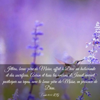 Picture 03 - Exode 18:12 LSG - Jéthro, beau-père de Moïse, offrit à Dieu un - Bible Verse Picture