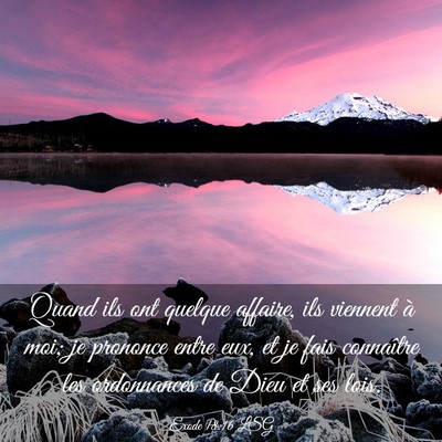 Picture 03 - Exode 18:16 LSG - Quand ils ont quelque affaire, ils viennent à - Bible Verse Picture