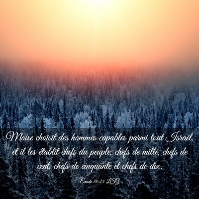 Picture 03 - Exode 18:25 LSG - Moïse choisit des hommes capables parmi tout - Bible Verse Picture