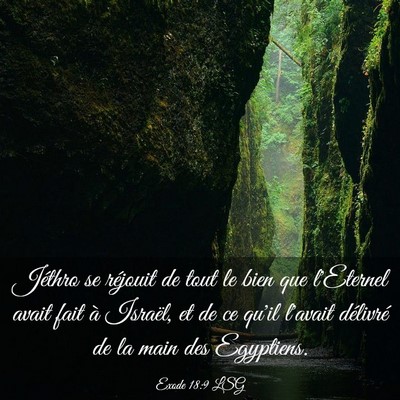 Picture 03 - Exode 18:9 LSG - Jéthro se réjouit de tout le bien que l'Eternel - Bible Verse Picture