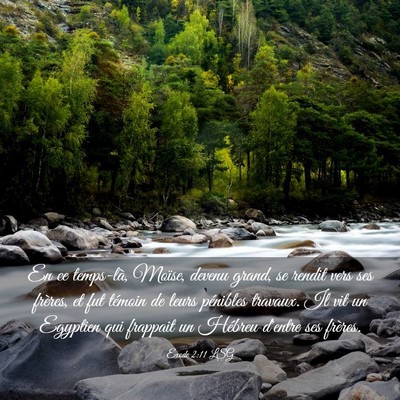 Picture 03 - Exode 2:11 LSG - En ce temps-là, Moïse, devenu grand, se rendit - Bible Verse Picture