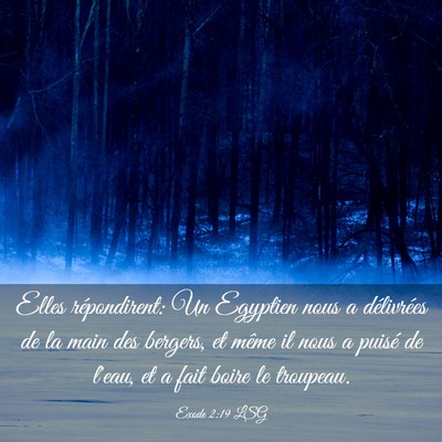 Picture 03 - Exode 2:19 LSG - Elles répondirent: Un Egyptien nous a - Bible Verse Picture