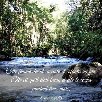 Picture 03 - Exode 2:2 LSG - Cette femme devint enceinte et enfanta un fils. - Bible Verse Picture