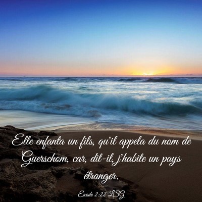 Picture 03 - Exode 2:22 LSG - Elle enfanta un fils, qu'il appela du nom de - Bible Verse Picture