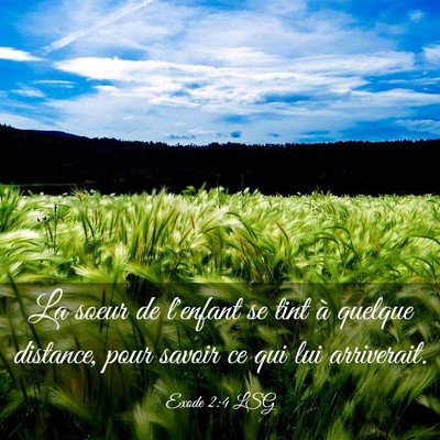 Picture 03 - Exode 2:4 LSG - La soeur de l'enfant se tint à quelque distance, - Bible Verse Picture