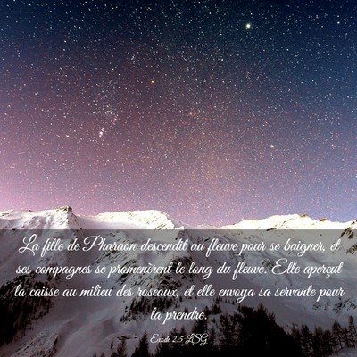 Picture 03 - Exode 2:5 LSG - La fille de Pharaon descendit au fleuve pour se - Bible Verse Picture